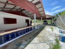 - บ้านสวนติดถนนลาดยาง ใกล้สนามกอล์ฟวอเตอร์มิลล์ ขนาด 1 ไร่ บ้านเลขที่ 17 พร้อมที่ดิน 7 ห้องนอน 4 ห้องน้ำ
