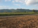 - ขายที่ดิน 75 ตร.ว. ต.ท่าคล้อ อ.แก่งคอย สระบุรี ใกล้แหล่งท่องเที่ยว