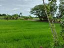 - ขายที่ดินเปล่า 116 ตร.ว. หนองเพรางาย ไทรน้อย นนทบุรีถมแล้วบางส่วน เหมาะสร้างบ้านสวน-คาเฟ่ ใกล้วัดลาดปลาดุก