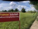 - ขายที่ดินเปล่า 116 ตร.ว. หนองเพรางาย ไทรน้อย นนทบุรีถมแล้วบางส่วน เหมาะสร้างบ้านสวน-คาเฟ่ ใกล้วัดลาดปลาดุก