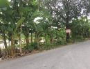 - ขายที่ดิน 295 ตร.ว. ซอยคู้บอน 31 (รามอินทรา 71)ที่สวยติดถนนซอย เหมาะปลูกบ้าน รีบขายด่วน