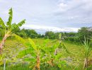 - ขายที่ดินเปล่า 4 ไร่ 3 งาน 49 ตร.ว. ซอยเกาะเกียง ราชพฤกษ์ตัดใหม่ 346 บรรยากาศสวนสไตล์รีสอร์ท