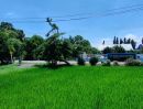 - ขายที่ดินนาข้าว 7 ไร่ ทำเลดี ตรงข้ามโรงพยาบาลส่งเสริมสุขภาพ ต.หนามแดง อ.เมืองฉะเชิงเทรา