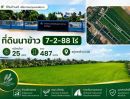 - ขายที่ดินนาข้าว 7 ไร่ ทำเลดี ตรงข้ามโรงพยาบาลส่งเสริมสุขภาพ ต.หนามแดง อ.เมืองฉะเชิงเทรา