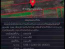 - ขายที่ดิน 12 ไร่ 20 ตารางวา เจ้าของขายเอง ตำบลช่องสาริกา อำเภอพัฒนานิคม จังหวัดลพบุรี