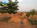 - ขายที่ดิน 2 ไร่และ 6 ไร่ และ 8 ไร่ ถนนราชบุรี ผาปก ตำบลหินกอง อำเภอเมืองราชบุรี จังหวัดราชบุรี