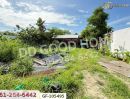 - ที่ดินพุทธมณฑลสาย 2 ซ.31 200 ตร.ว. ทวีวัฒนา ใกล้สวนเฉลิมพระเกียรติสมเด็จย่า