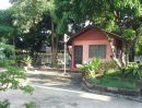 - ขายบ้านเดี่ยว 2 ชั้น บรรยากาศสงบร่มเย็น ร่มรื่น หนองแขม กรุงเทพฯ