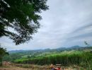  - ขายที่บนเนินเขา เขาใหญ่ คลองม่วง ปากช่อง 10 ไร่ ที่ดินบนเนินเขา วิวเขาสวยมาก ที่สูง ติดถนนลาดยาง ใกล้3060 หนองสาหร่าย เดินทางสะดวก ไม่ลึก ไม่เปลี่ย