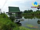  - ขายที่ดินทำเลทอง 2 ไร่กว่า ไทรน้อย นนทบุรี [ แบ่งขายได้ ] เหมาะทำโครงการ-อาคารพาณิชย์