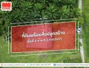 - ที่ดินพร้อมสิ่งปลูกสร้าง พร้อมห้องเก็บของขนาดใหญ่ ต.นาสาร
