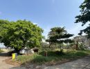 - ที่ดินเปล่า 332 ตร.ว. ประเวศ อ่อนนุช55/1 ใกล้รถไฟฟ้าสายสีเหลือง