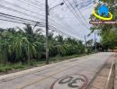  - ด่วน! ขายที่ดินทำเลทอง 12 ไร่ พุทธมณฑลสาย 2 ซอย 7 (ซอยวัดบุณยประดิษฐ์) หน้ากว้าง ติดถนนและติดคลอง ใกล้รถไฟฟ้าและเดอะมอลล์บางแค
