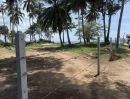  - ขายที่ดินเนื้อที่ 3 ไร่ 84 ตรว. ไร่ละ 3.5 ล้านบาท ติดชายหาดกำนัน ต.พุมเรียง หน้าติดหาดประมาณ 43 เมตร