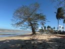  - ขายที่ดินเนื้อที่ 3 ไร่ 84 ตรว. ไร่ละ 3.5 ล้านบาท ติดชายหาดกำนัน ต.พุมเรียง หน้าติดหาดประมาณ 43 เมตร