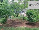 - ขายบ้านสวนริมน้ำ จังหวัดพระนครศรีอยุธยา บ้านไม้เรือนไทย บนที่ดินแปลงสวย 315 ตารางวา ติดคลอง ใกล้แม่น้ำเจ้าพระยา