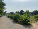  - ขายด่วนที่ดินราคาประเมินในเมืองแถวท่าศาลา ไม่ต้องถมพร้อมสร้างบ้าน