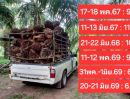 - ขายสวนปาล์มน้ำมันและยางพารา ติดคลอง ติดลำห้วย โฉนด 25 ไร่ ใกล้หาดทุ่งวัวแล่นเพียง 5 นาที ต.สะพลี ปะทิว ชุมพร