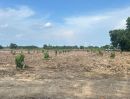 - ขายที่ดินขนาด 4 ไร่ ใกล้สนามบินสุวรรณภูมิ ตำบลคลองสวน อำเภอบางบ่อ จังหวัดสมุทรปราการ