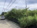 - Rare Item! ที่ดินเปล่า 200 วา หัวมุมทิศตะวันออก ทำเลทอง ซอยวัดบุญยประดิษฐ์ พุทธมณฑลสาย 2