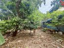 - ขายที่ดิน 213 ตรว. ถนนสามัคคี-ติวานนท์ ซอยสามัคคี 26 นนทบุรี ทำเลศักยภาพ เข้า-ออกได้ทั้งถนนประชาชื่นและถนนติวานนท์
