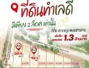 - ขายที่ดินเกาะขนุนถมแล้วเริ่มต้น 152 ตรว.ทำเลดีติดถนนพนม-ท่าลาด-สนามชัยเขต2ด้าน พนมสารคาม ฉะเชิงเทรา