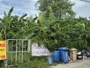  - ขายที่ดินแปลงเล็กอยู่ ถนนพหลโยธินซอย 54 สะพานใหม่ ใกล้ตลาดยิ่งเจริญใกล้สถานีรถไฟฟ้าเค้าออกซอย 500 เมตร