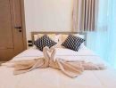 - ขายคอนโดหรู The Riviera Ocean Drive วิวทะเล พร้อมเข้าอยู่
