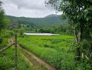 - ขายที่ดินวิวภูเขา 191 ตร.ว. โป่งแยง แม่ริม เชียงใหม่ ใกล้ม่อนแจ่ม