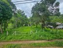 - ขายที่ดินวิวภูเขา 191 ตร.ว. โป่งแยง แม่ริม เชียงใหม่ ใกล้ม่อนแจ่ม