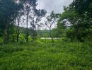 - ขายที่ดินวิวภูเขา 191 ตร.ว. โป่งแยง แม่ริม เชียงใหม่ ใกล้ม่อนแจ่ม