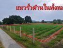 - ขายที่ดินเปล่า เนื้อที่ 5 ไร่ 2 งาน 16.2 ตารางวา ทำเลดีมาก เดินทางสะดวก