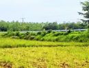  - ที่นาแปลงใหญ่ ขนาด 30 กว่าไร่ ติดถนนสายหลัก เพชรบูรณ์
