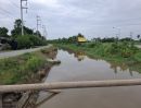  - ขายที่ดินเหมาะทำนาทำไร่ ใกล้สวนพืชไร้ดิน ศรีประจันต์ สุพรรณบุรี