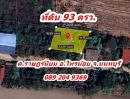 - ขายที่ดิน 93 ตร.ว ถมแล้ว ราคาถูก ต.ราษฎร์นิยม อ.ไทรน้อย จ.นนทบุรี