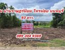- ขายที่ดิน 93 ตร.ว ถมแล้ว ราคาถูก ต.ราษฎร์นิยม อ.ไทรน้อย จ.นนทบุรี