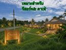  - ขายที่ดินทำเลดี 2 ไร่ 1 งาน 31 ตารางวา กาฬสินธุ์