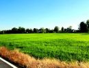 - ขายที่ดินองครักษ์ นครนายก คลอง16 ติดถนนลาดยาง ใกล้มศว ใกล้อบตองครักษ์ ทำเลดี