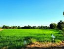 - ขายที่ดินองครักษ์ นครนายก คลอง16 ติดถนนลาดยาง ใกล้มศว ใกล้อบตองครักษ์ ทำเลดี