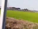 - ที่ดินแปลงใหญ่ ศักยภาพสูง 61 ไร่ พื้นที่สีม่วง เขตอุตสาหกรรม จ.นนทบุรี
