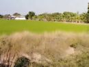 - ที่ดินแปลงใหญ่ ศักยภาพสูง 61 ไร่ พื้นที่สีม่วง เขตอุตสาหกรรม จ.นนทบุรี