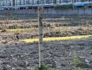 - ขายที่ดิน 16-2-54 ไร่ติดถนนรามคำแหง 140 ใกล้สถานีรถไฟฟ้าสายสีส้ม สถานีน้อมเกล้าและใกล้โรงเรียนเตรียมอุดมน้อมเกล้