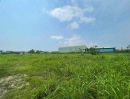 - ที่ดินหนองขาม ศรีราชา 10 ไร่ ทำเลศักยภาพ ใกล้นิคมปิ่นทอง TP-L2401