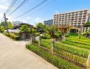 - ขายที่ดินตำบลสุเทพห่างนิมานเพียง 950 เมตร พร้อมโอน
