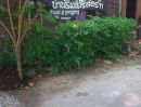 - ขาย/เซ้ง ถูกมาก!! รีสอร์ทริมน้ำพร้อมร้านอาหาร บรรยากาศดี ใจกลาง อ.กำแพงแสน นครปฐม ทำกิจการต่อได้ทันที