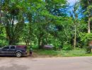 - ขายที่ดินข้างพระธาตุดอยคำร่มรื่นไกล้เมืองโฉนดพร้อมโอน