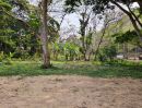  - ขายที่ดินข้างพระธาตุดอยคำร่มรื่นไกล้เมืองโฉนดพร้อมโอน