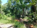 - ขายที่ดิน 39 ไร่ 63 ตร.ว. คลอง 12 หนองเสือ ปทุมธานี พื้นที่สีชมพู ติดถนน 4 ด้าน เหมาะลงทุน