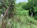 - ขายที่ดิน 128 ตร.ว. ซอยสาธุประดิษฐ์ 49 ทำเลพระราม 3 สาธุประดิษฐ์ เหมาะพัฒนาโครงการ