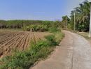 - ขายที่ดินหนองไผ่แก้ว 8 ไร่ ติดนิคมโรจนะเฟส2 ใกล้แยกหนองปรือ-8กม. อ.บ้านบึง ชลบุรี